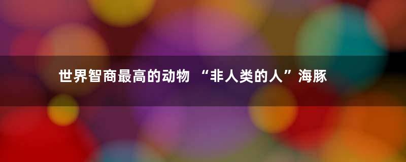 世界智商最高的动物 “非人类的人”海豚